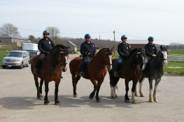 Plymouth Police Mounted Unit