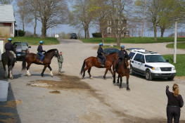 Plymouth Police Mounted Unit training at County Farm