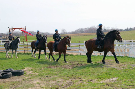 Plymouth Police Mounted Unit (L to R) Ptls. McLaughlin, Ward, Reid, Larsen (April/2010)