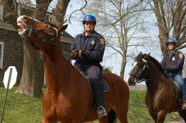 Plymouth Police Mounted Unit (L to R) Ptl Reid and Ptl Ward (April/2010)