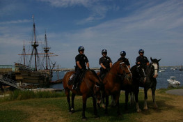 Plymouth Police Mounted Unit on Waterfront