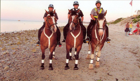 Plymouth Police Mounted Unit on White Horse Beach patrol (3/July/10)