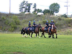 Plymouth Police Mounted Unit at the "Boys and Girls Club" (Sept/2010)