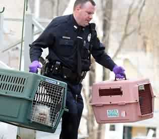 Ptl. Keegan carries cats seized at the scene of a reported call for pet abuse (29/Mar/09)