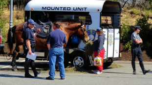 Ptl. Reid describes his mount at the 2012 Police Community Day (21/Apr/12)