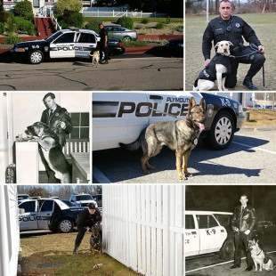 Plymouth Police K-9 Unit