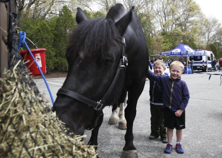 Plymouth brothers Harry, 4, and Tommy Godfrey, 4, pet the police horse during the Plymouth Police Services Day at the main branch of the Plymouth Public Library on May 13, 2017. [Wicked Local Staff Photo/Alyssa Stone]